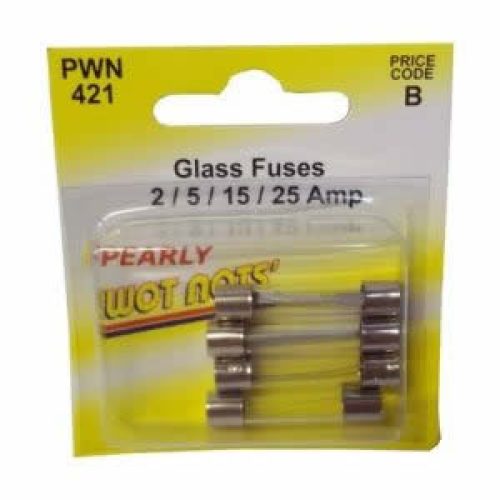 Assorted Glass Auto Fuses